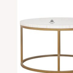 Bone Inlay Coffee Table – White Lines